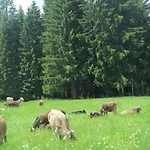Mit Hallenbad By Interhome Апартаменты
