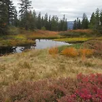 Mit Hallenbad By Interhome Апартаменты *